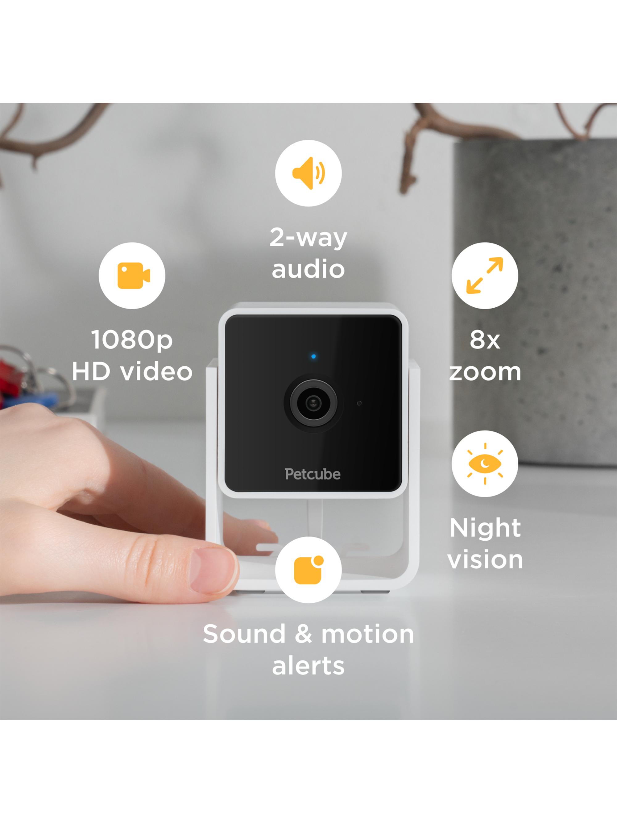 Shop Petcube Petcube Cam | Saks Fifth Avenue