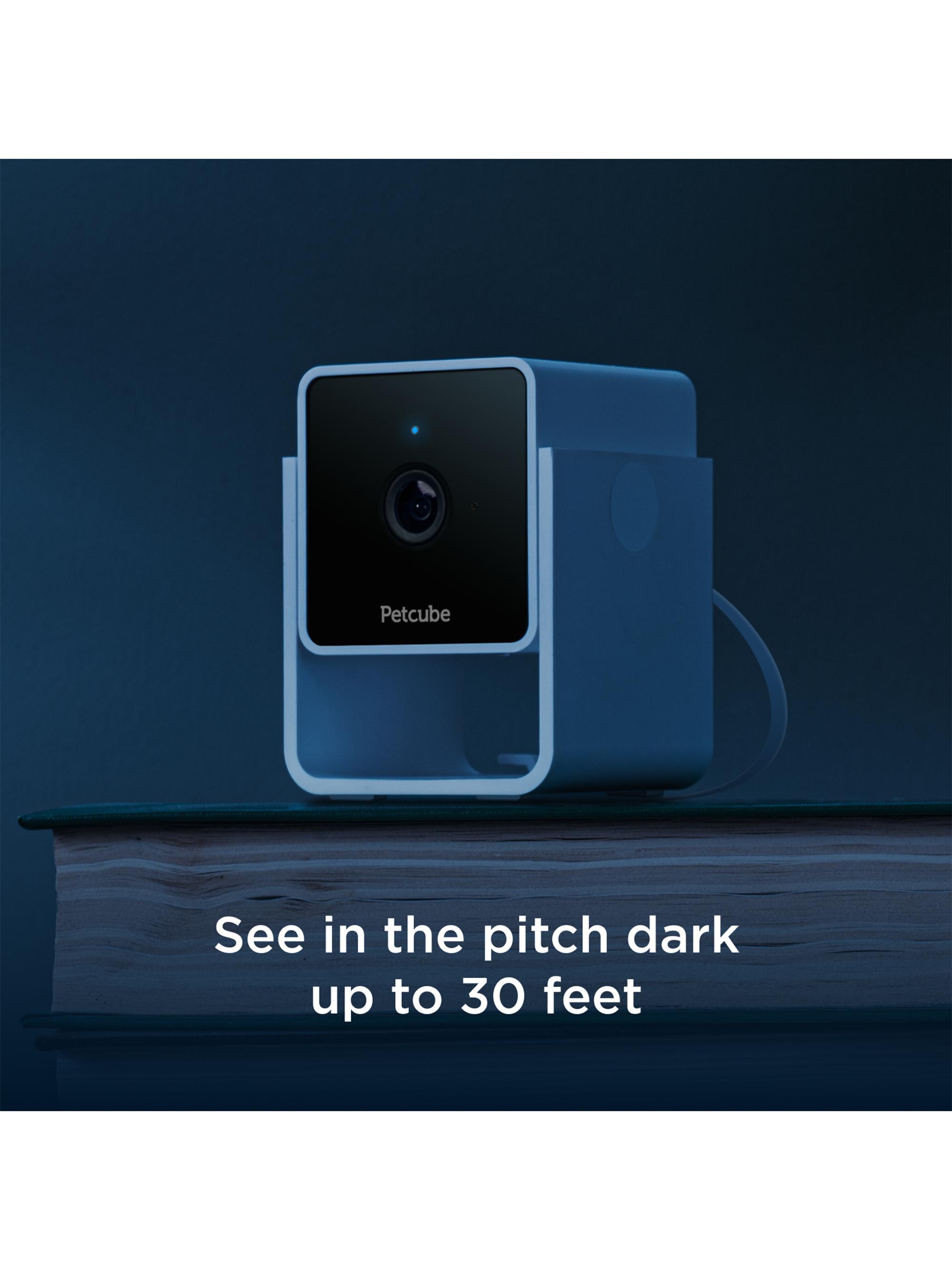 Shop Petcube Petcube Cam | Saks Fifth Avenue